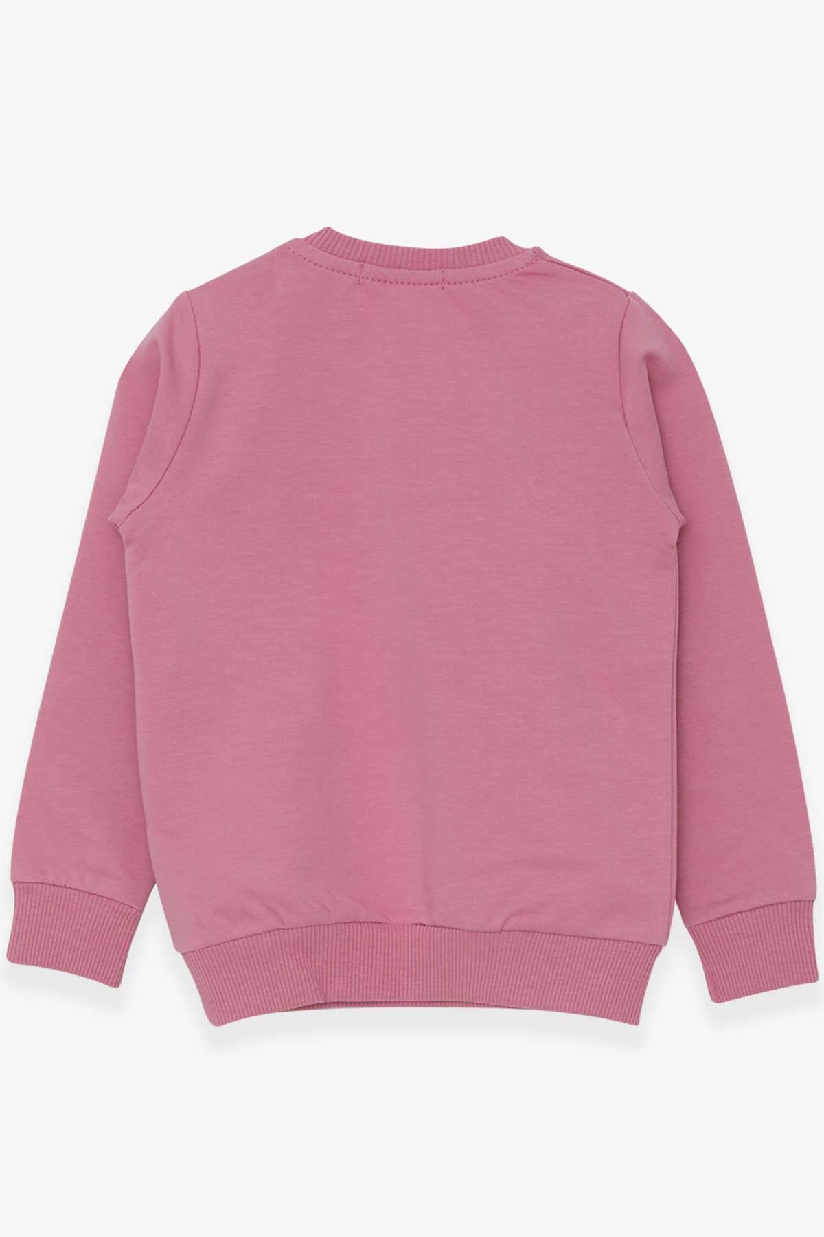 Breeze Kız Çocuk Sweatshirt Tavşancık Nakışlı Pullu Gülkurusu (1.5-5 Yaş)