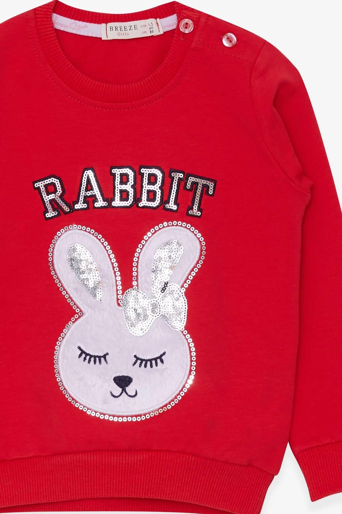 Breeze Kız Çocuk Sweatshirt Tavşancık Nakışlı Pullu Narçiçeği (1.5-5 Yaş)