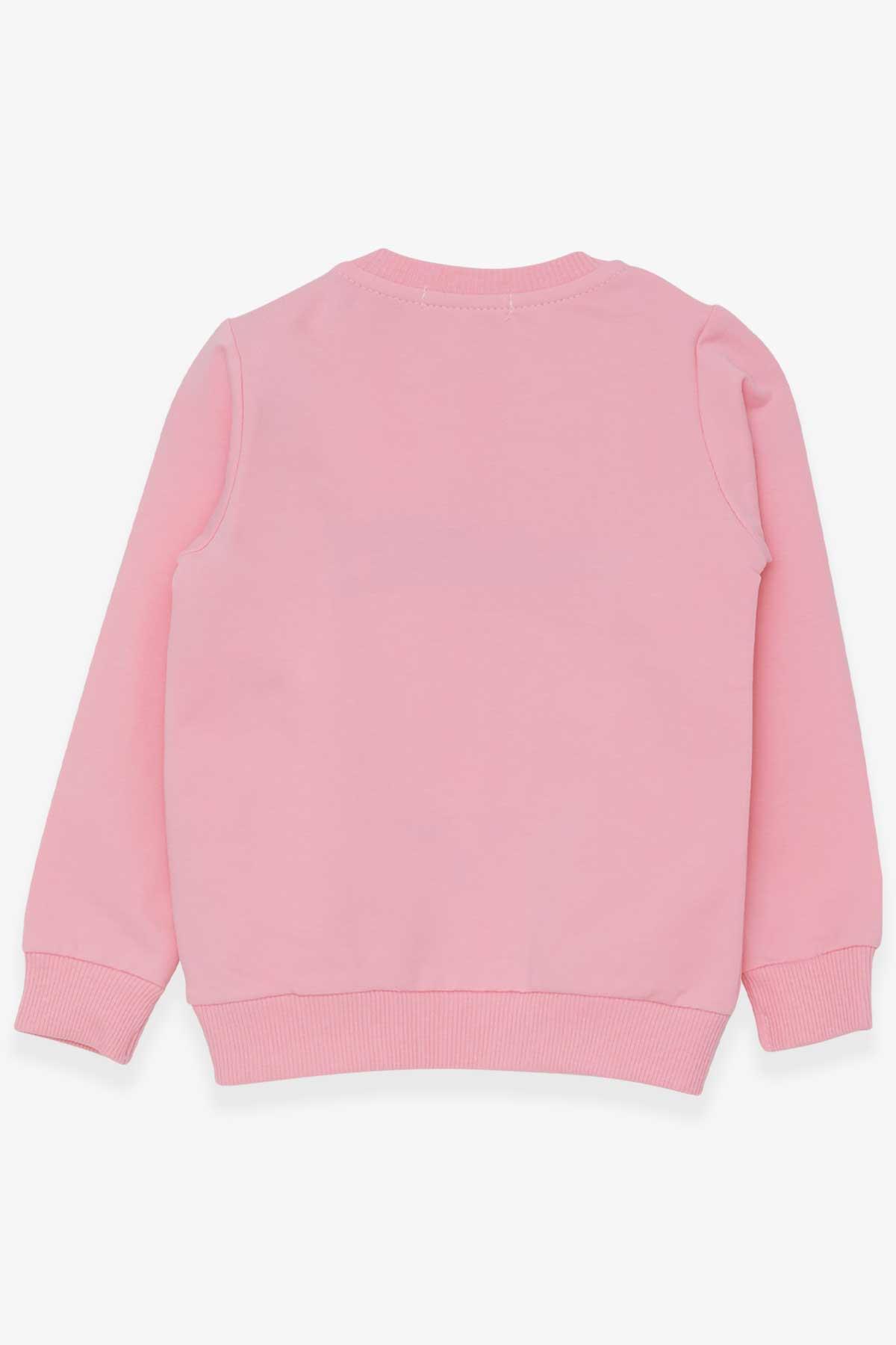 Breeze Kız Çocuk Sweatshirt Tavşancık Nakışlı Pullu Pudra (1.5-5 Yaş)