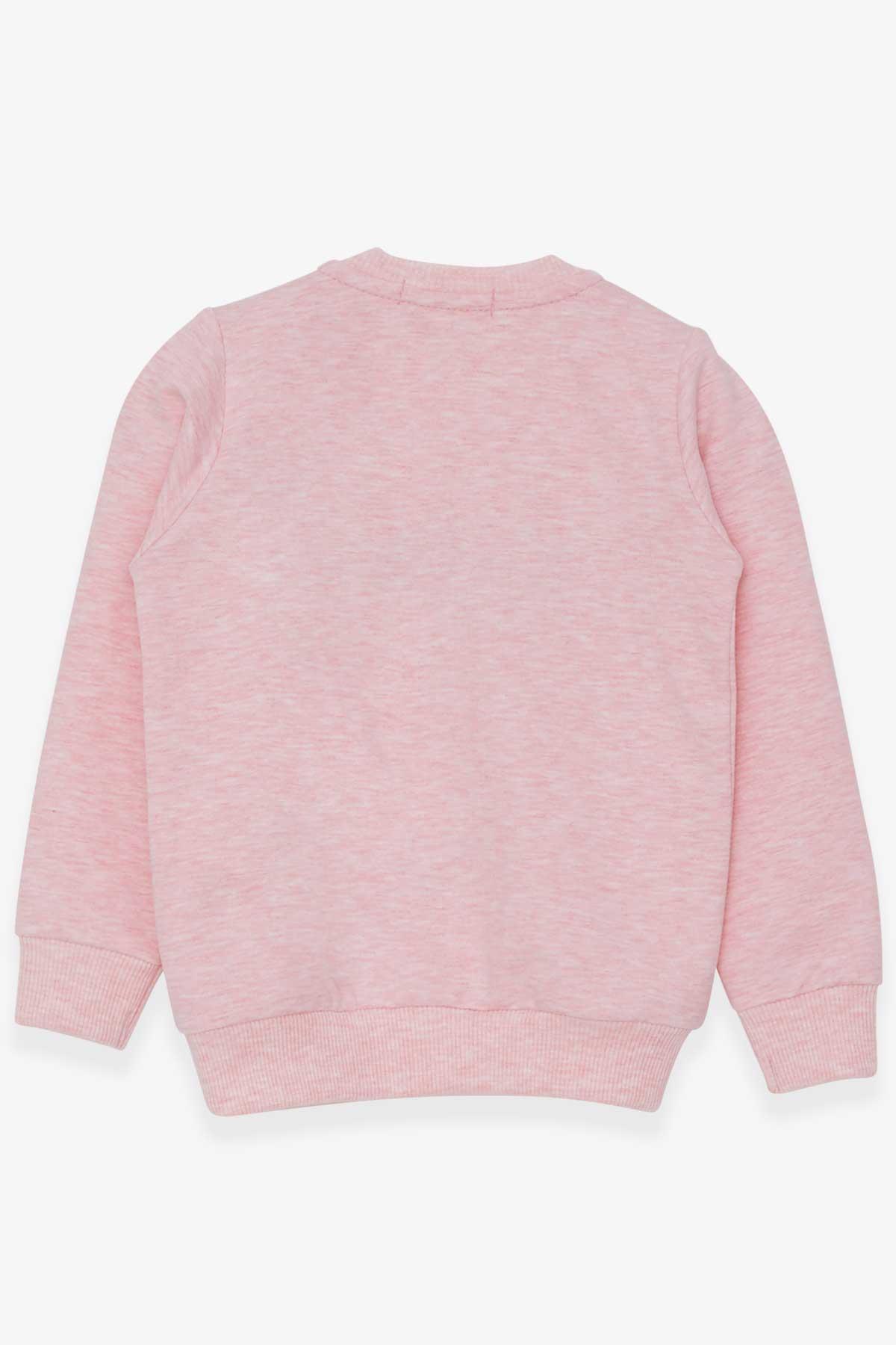 Breeze Kız Çocuk Sweatshirt Tavşancık Nakışlı Pullu Somon Melanj (1.5-5 Yaş)