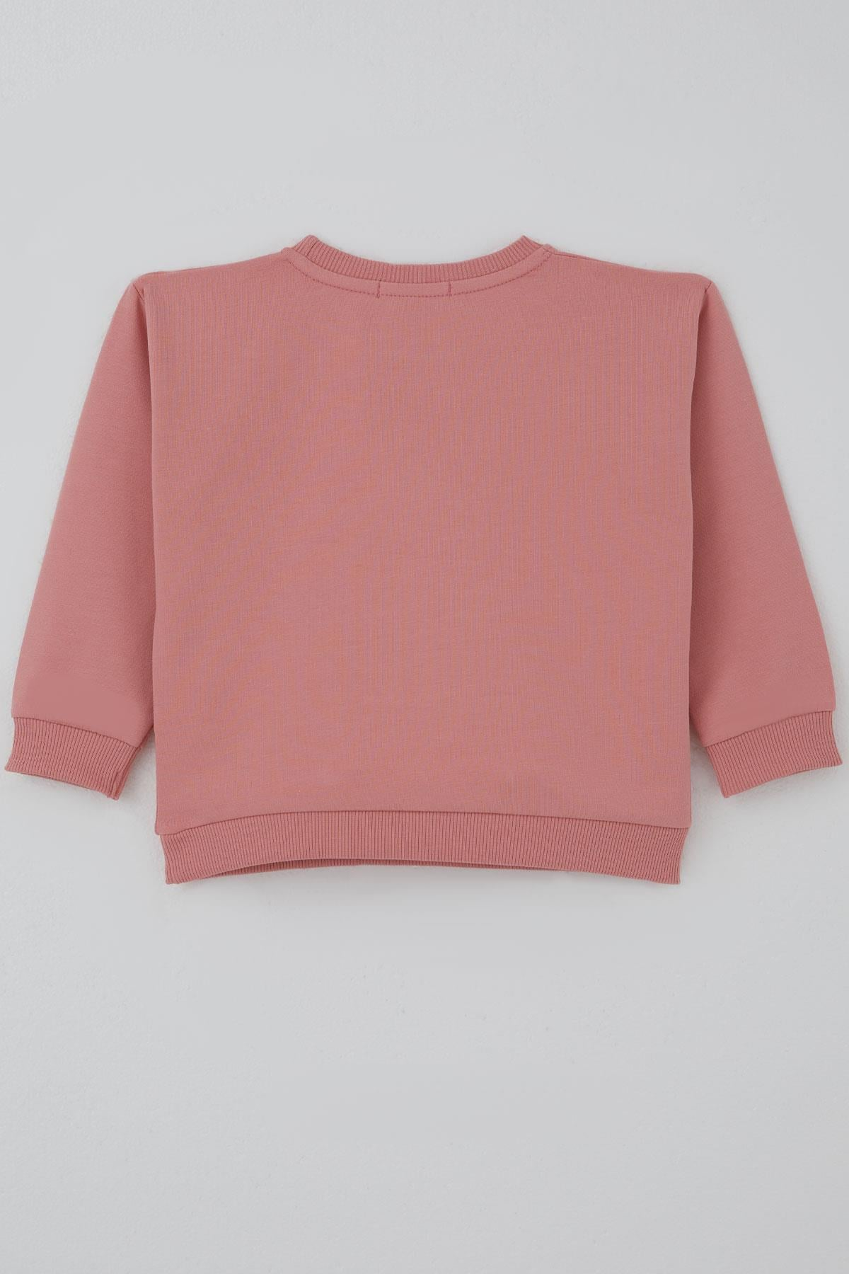 Breeze Kız Çocuk Sweatshirt Triko Çiçek Aplike Armalı Gülkurusu (2-6 Yaş)