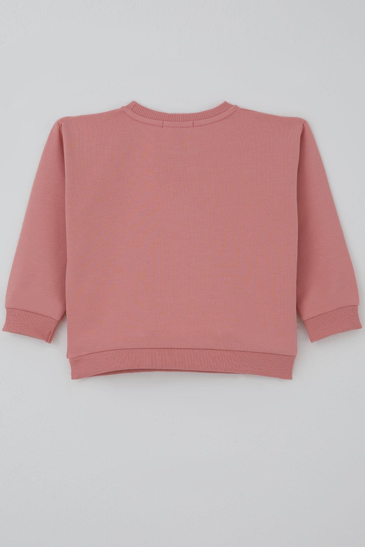 Breeze Kız Çocuk Sweatshirt Triko Çiçek Aplike Armalı Gülkurusu (2-6 Yaş)