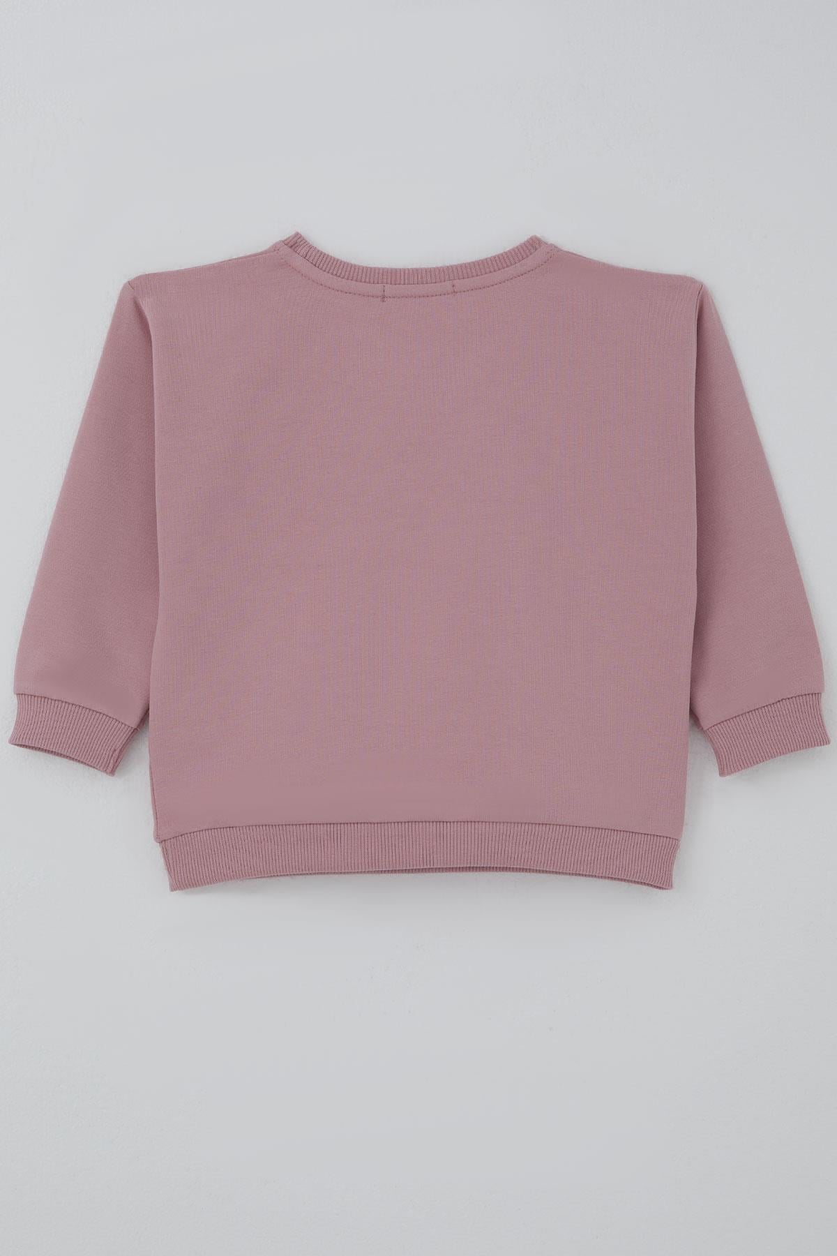Breeze Kız Çocuk Sweatshirt Triko Çiçek Aplike Armalı Gülkurusu (2-6 Yaş)