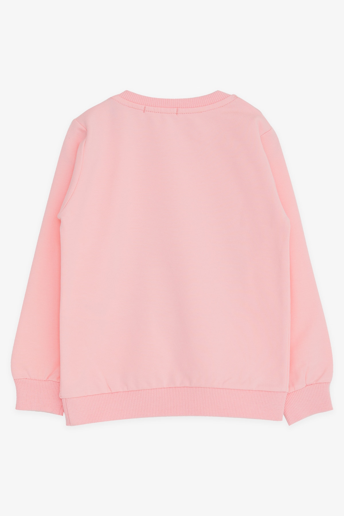 Breeze Kız Çocuk Sweatshirt Unicorn Baskılı Pembe (2-6 Yaş)