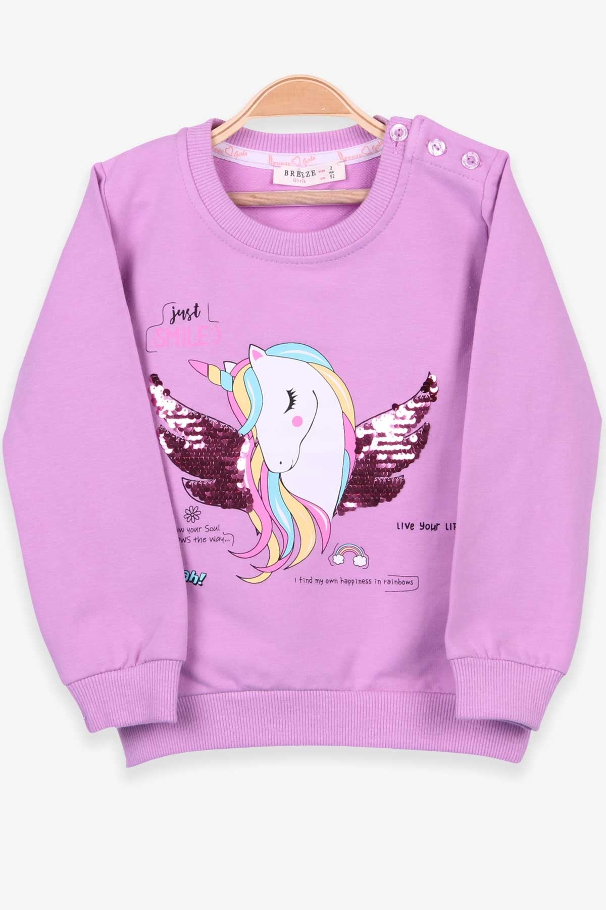 Breeze Kız Çocuk Sweatshirt Unicorn Eflatun (2-6 Yaş)