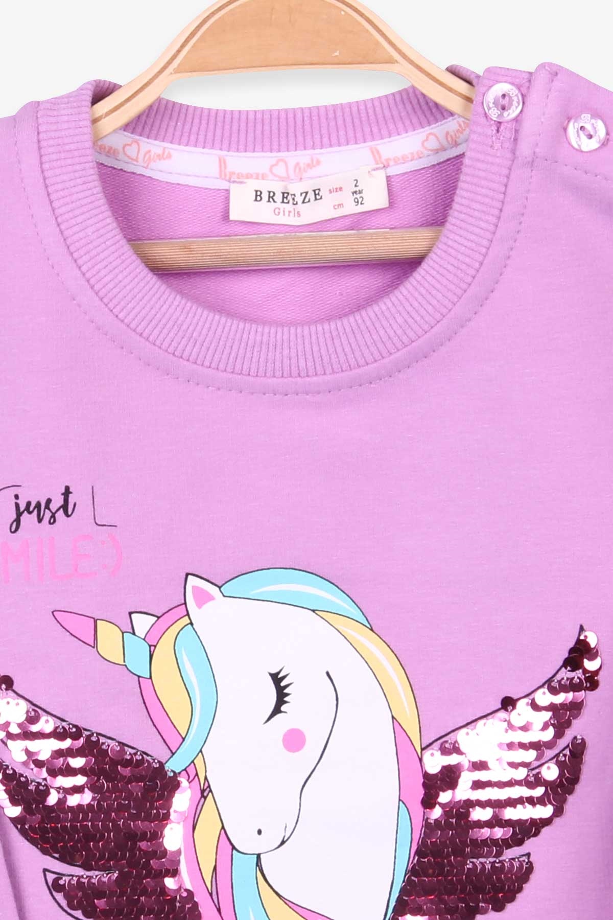 Breeze Kız Çocuk Sweatshirt Unicorn Eflatun (2-6 Yaş)
