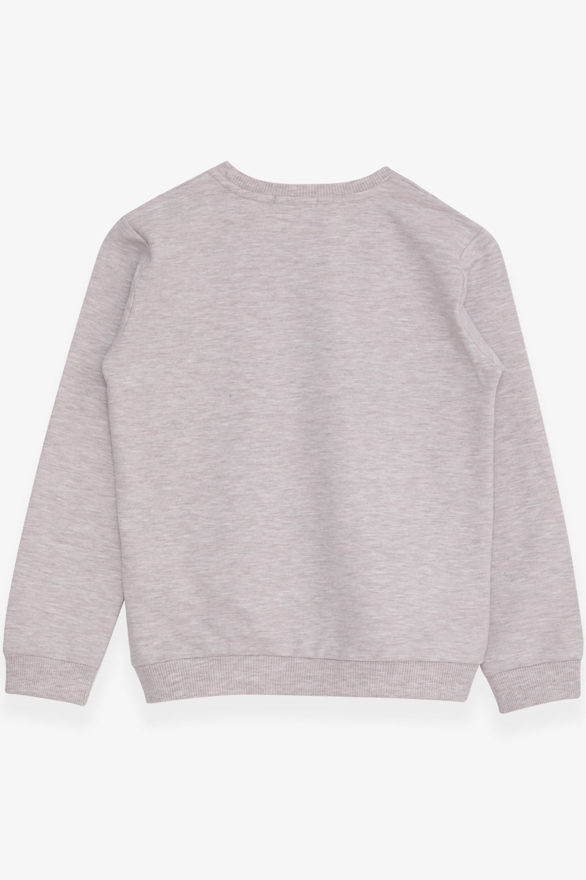 Breeze Kız Çocuk Sweatshirt Yazı Baskılı Pullu Bej Melanj (8-14 Yaş)