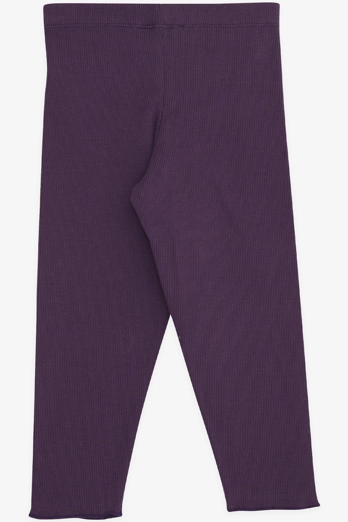 Breeze Kız Çocuk Tayt Fitilli Basic Mürdüm (3-8 Yaş)