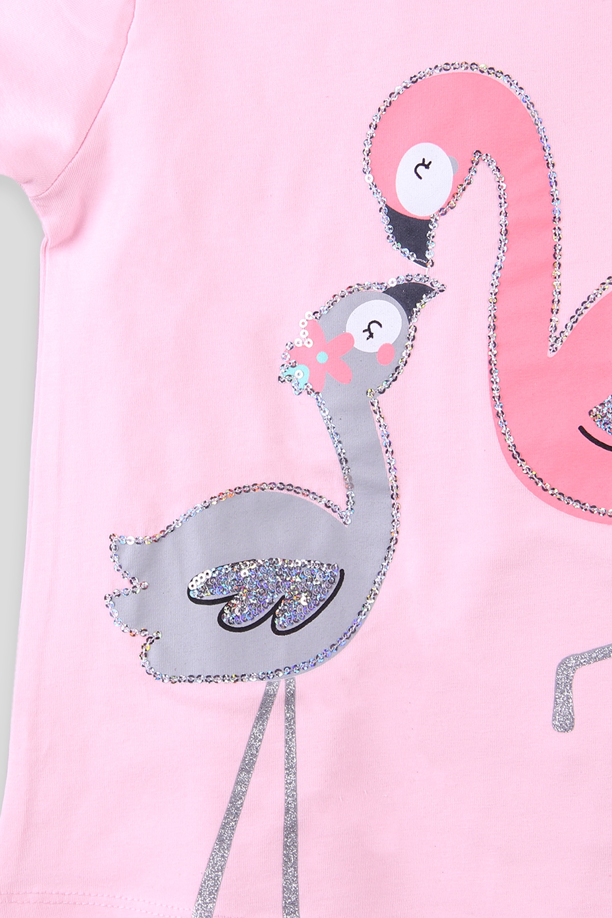 Breeze Kız Çocuk Tayt Takım Flamingo Baskılı Pembe (3-8 Yaş)