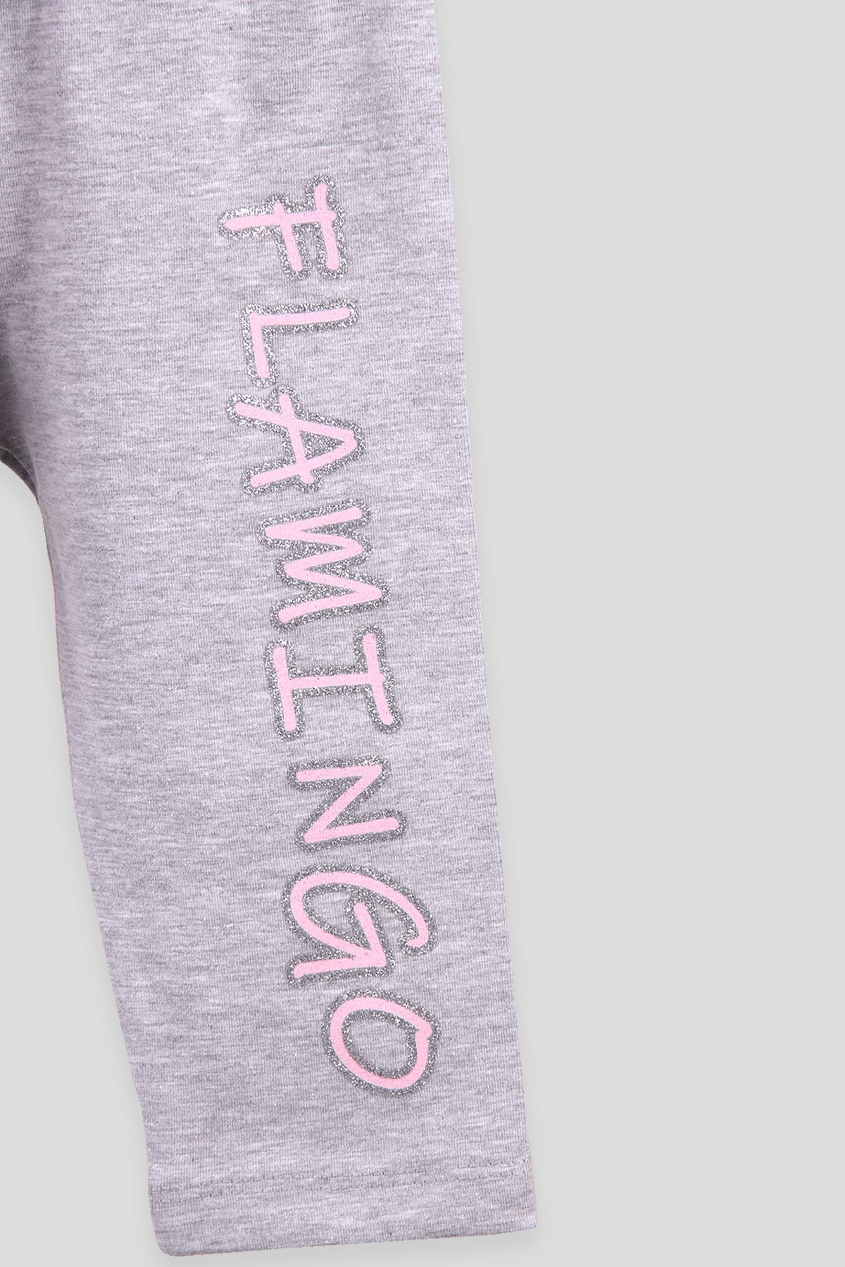 Breeze Kız Çocuk Tayt Takım Flamingo Baskılı Pembe (3-8 Yaş)