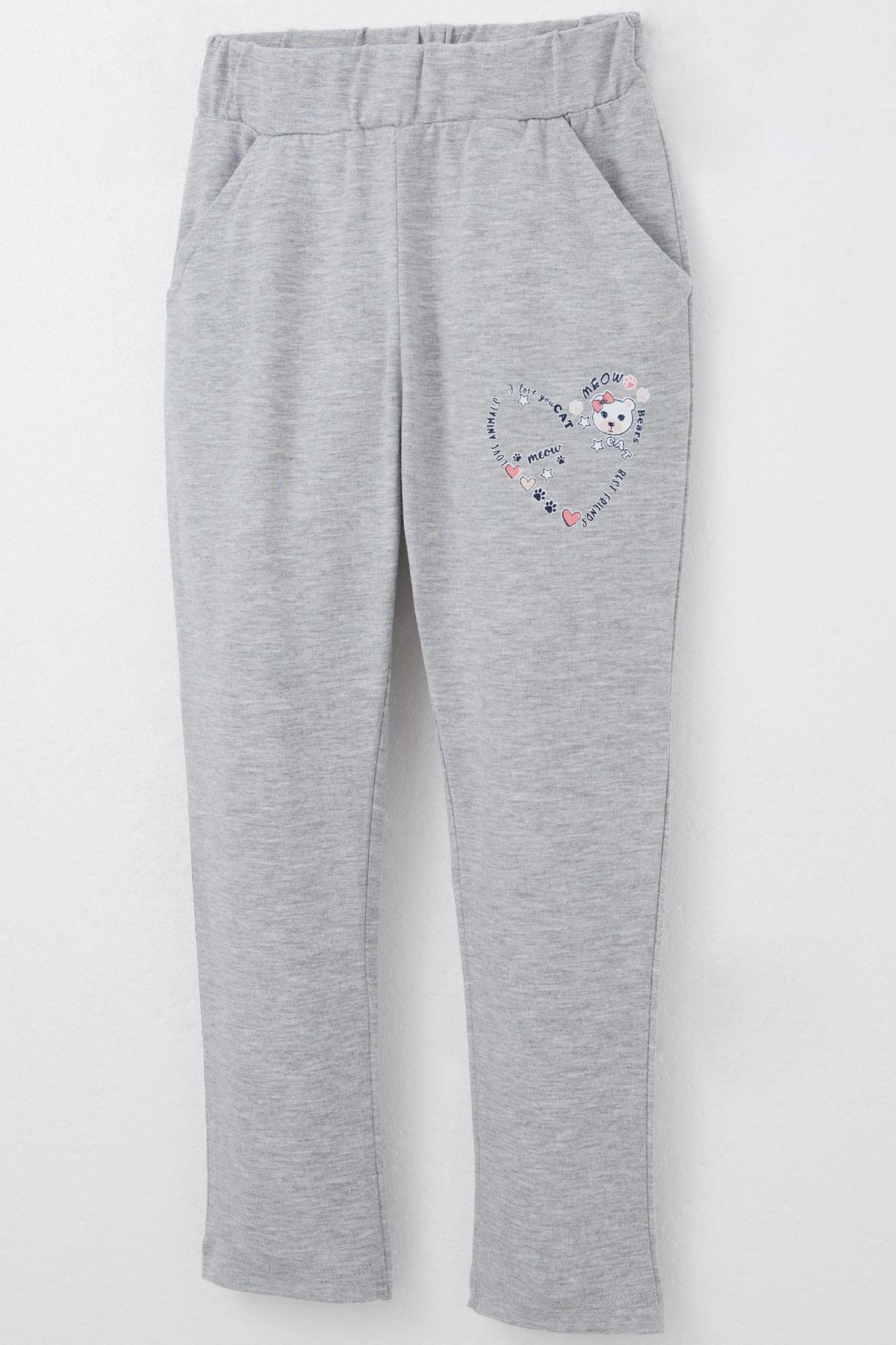 Breeze Kız Çocuk Taytlı Takım Sevgi Temalı Sevimli Hayvancıklar Baskılı Gülkurusu (1-4 Yaş)