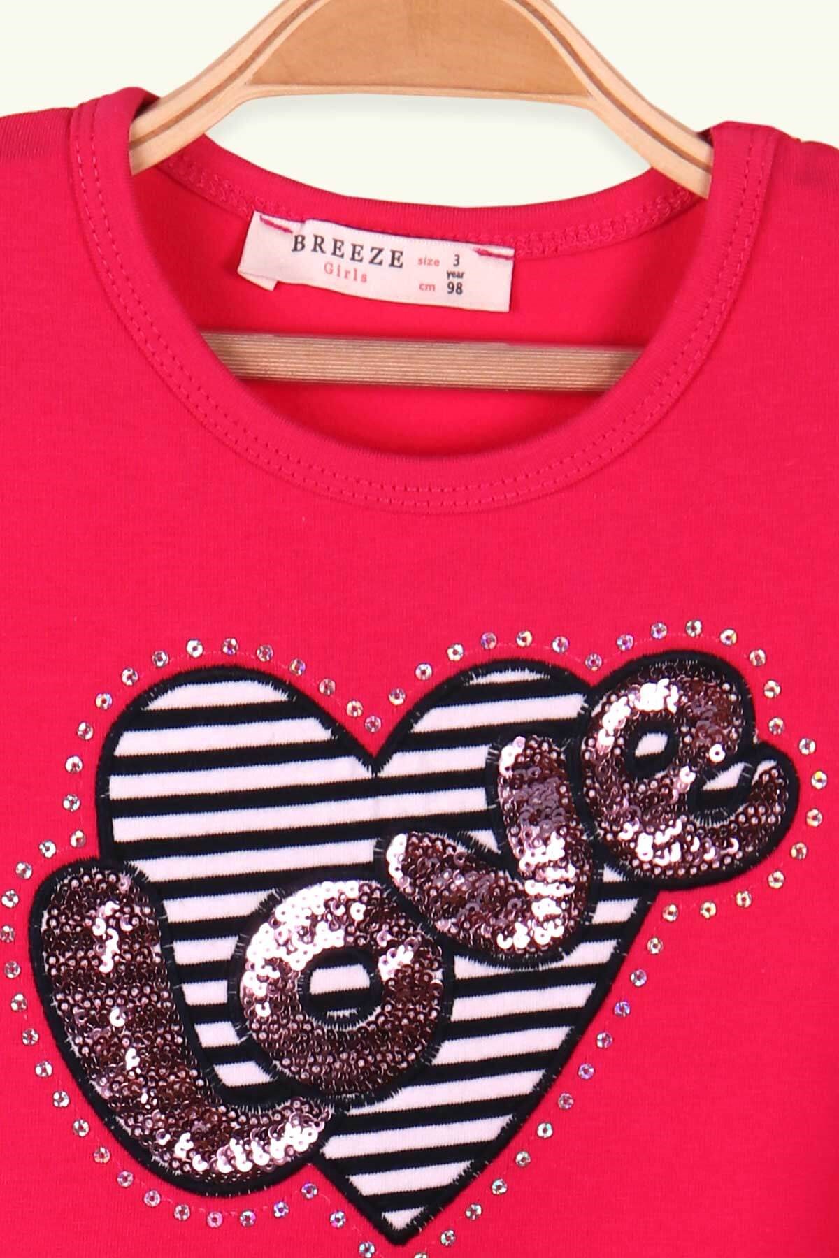 Breeze Kız Çocuk Uzun Kollu Elbise Pullu Nakışlı Pembe (3-8 Yaş)