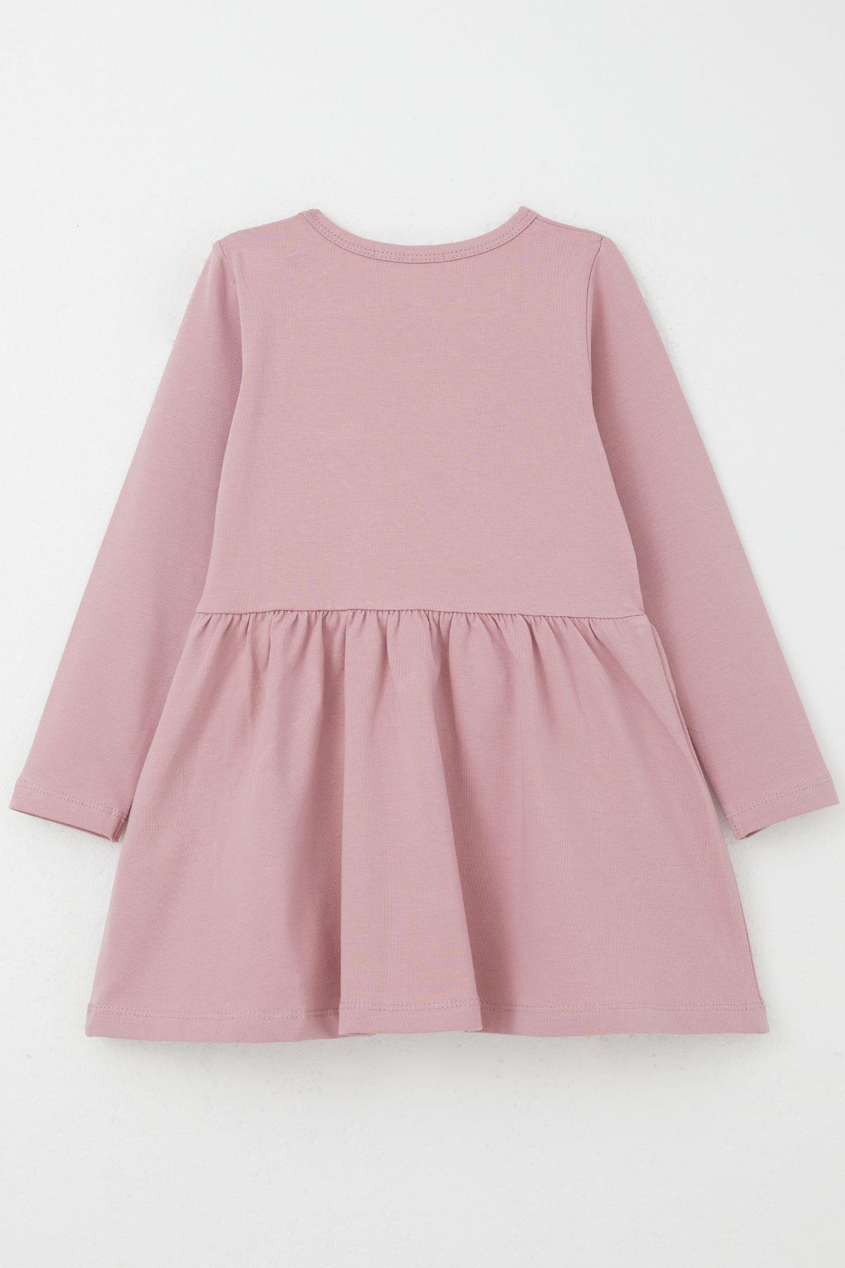 Breeze Kız Çocuk Uzun Kollu Elbise Renkli Çiçek Nakışlı Gülkurusu (1.5-5 Yaş)