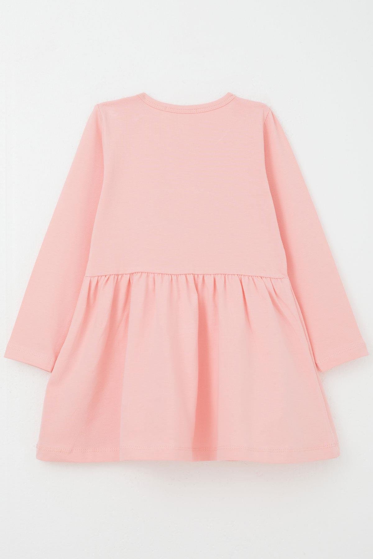 Breeze Kız Çocuk Uzun Kollu Elbise Renkli Çiçek Nakışlı Pembe (1.5-5 Yaş)