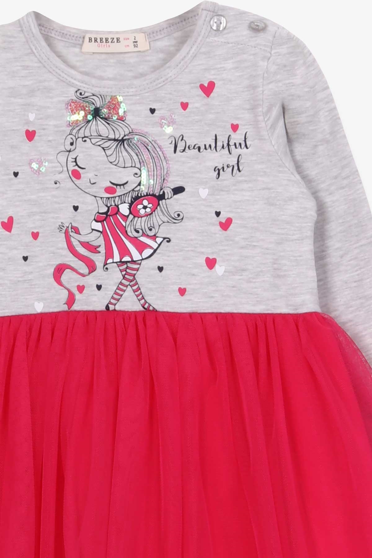 Breeze Kız Çocuk Uzun Kollu Elbise Süslü Kız Baskılı Gri Melanj (2-6 Yaş)