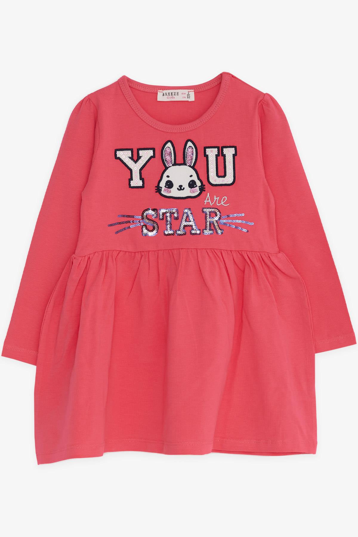 Breeze Kız Çocuk Uzun Kollu Elbise Tavşan Nakışlı Mercan (2-5 Yaş)