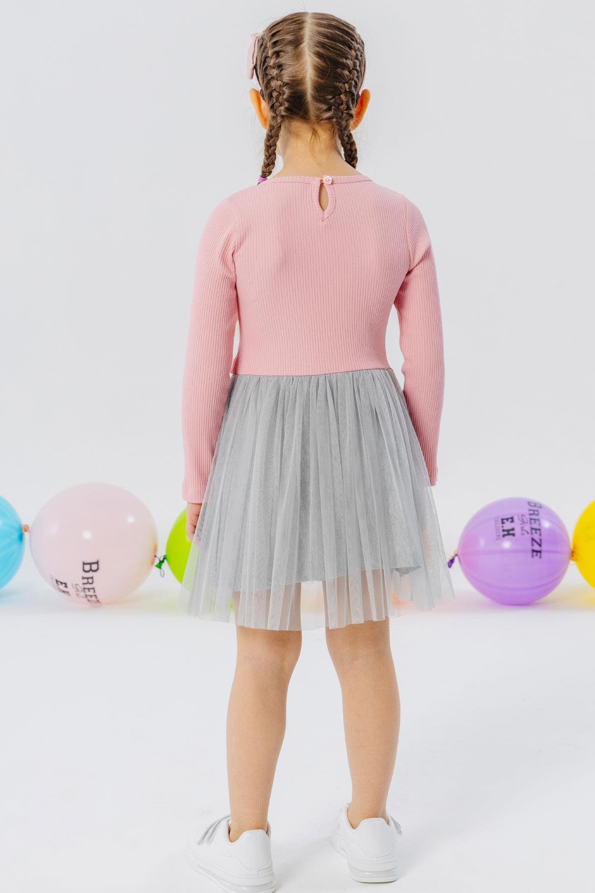 Breeze Kız Çocuk Uzun Kollu Elbise Tüllü Pembe (3-4 Yaş)