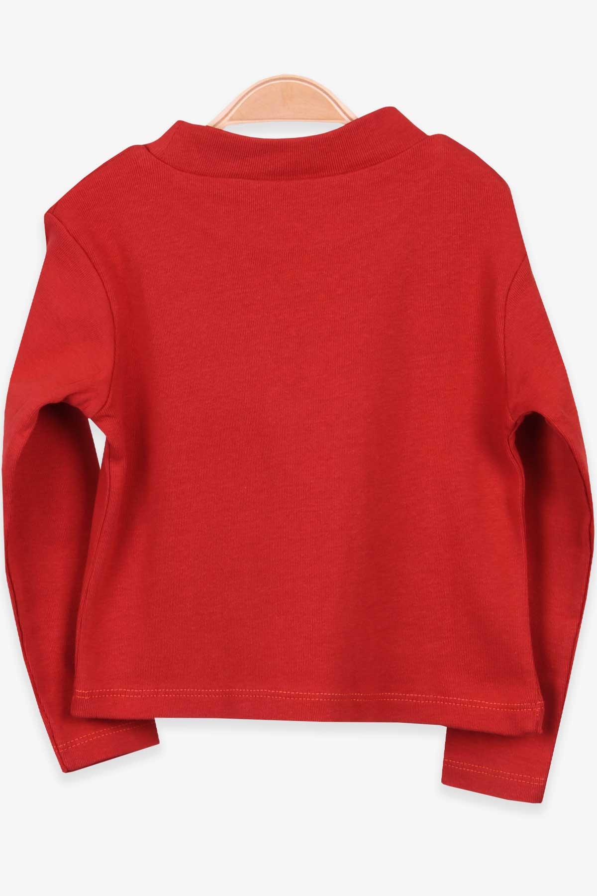 Breeze Kız Çocuk Uzun Kollu Tişört Basic Tarçın (2-10 Yaş)
