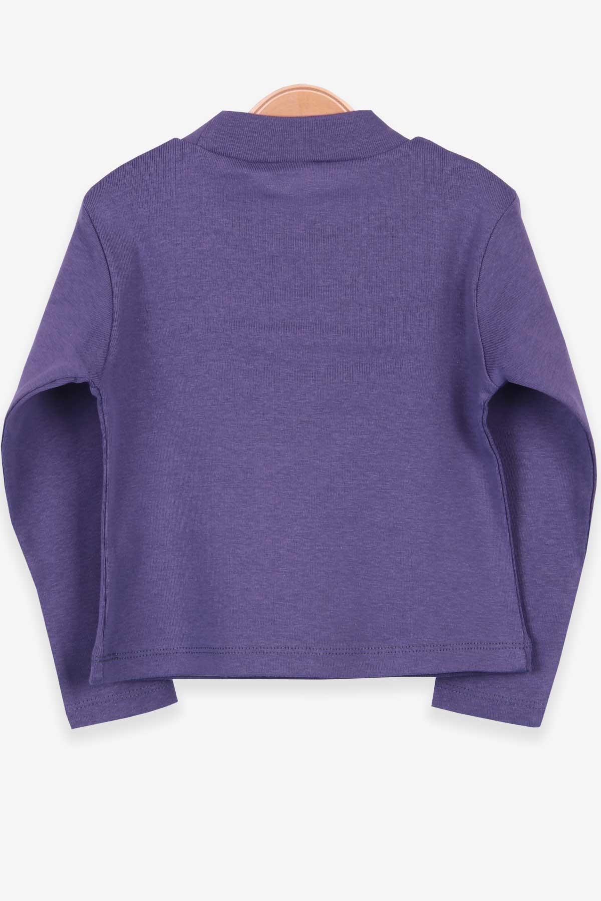 Breeze Kız Çocuk Uzun Kollu Tişört Basic Mor (2-10 Yaş)