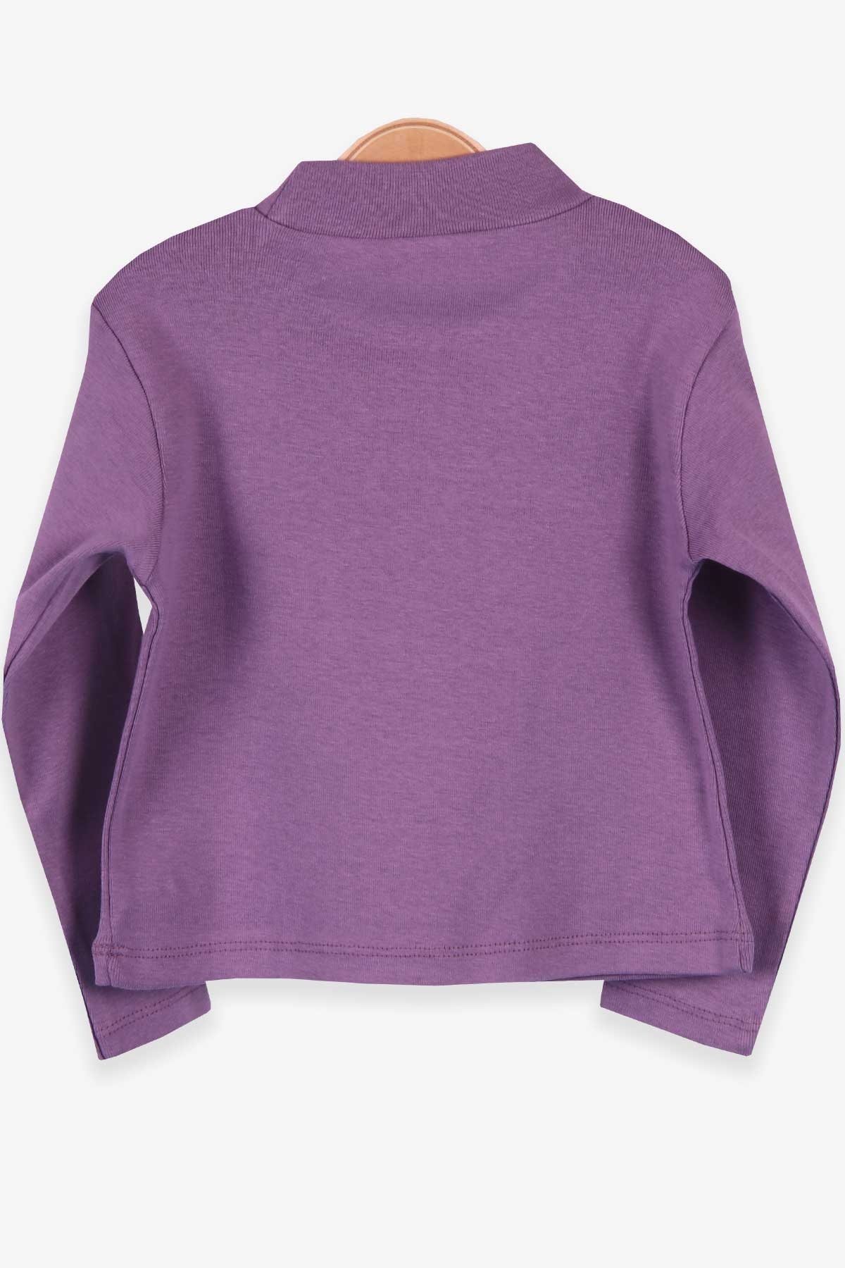 Breeze Kız Çocuk Uzun Kollu Tişört Basic Lila (2-10 Yaş)