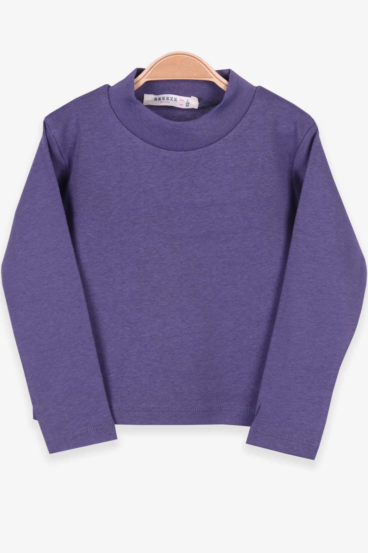 Breeze Kız Çocuk Uzun Kollu Tişört Basic Mor (2-10 Yaş)