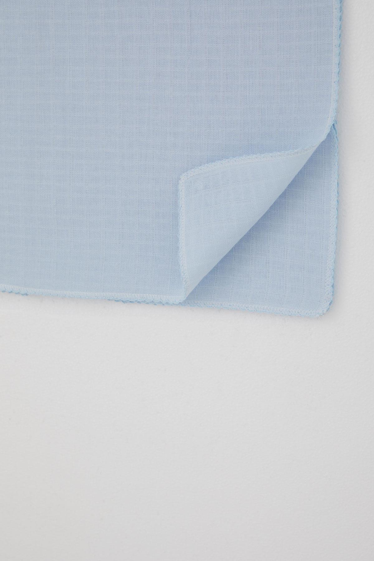 Breeze Yenidoğan Bebek Müslin Battaniye Kendinden Desenli Açık Mavi (Standart)