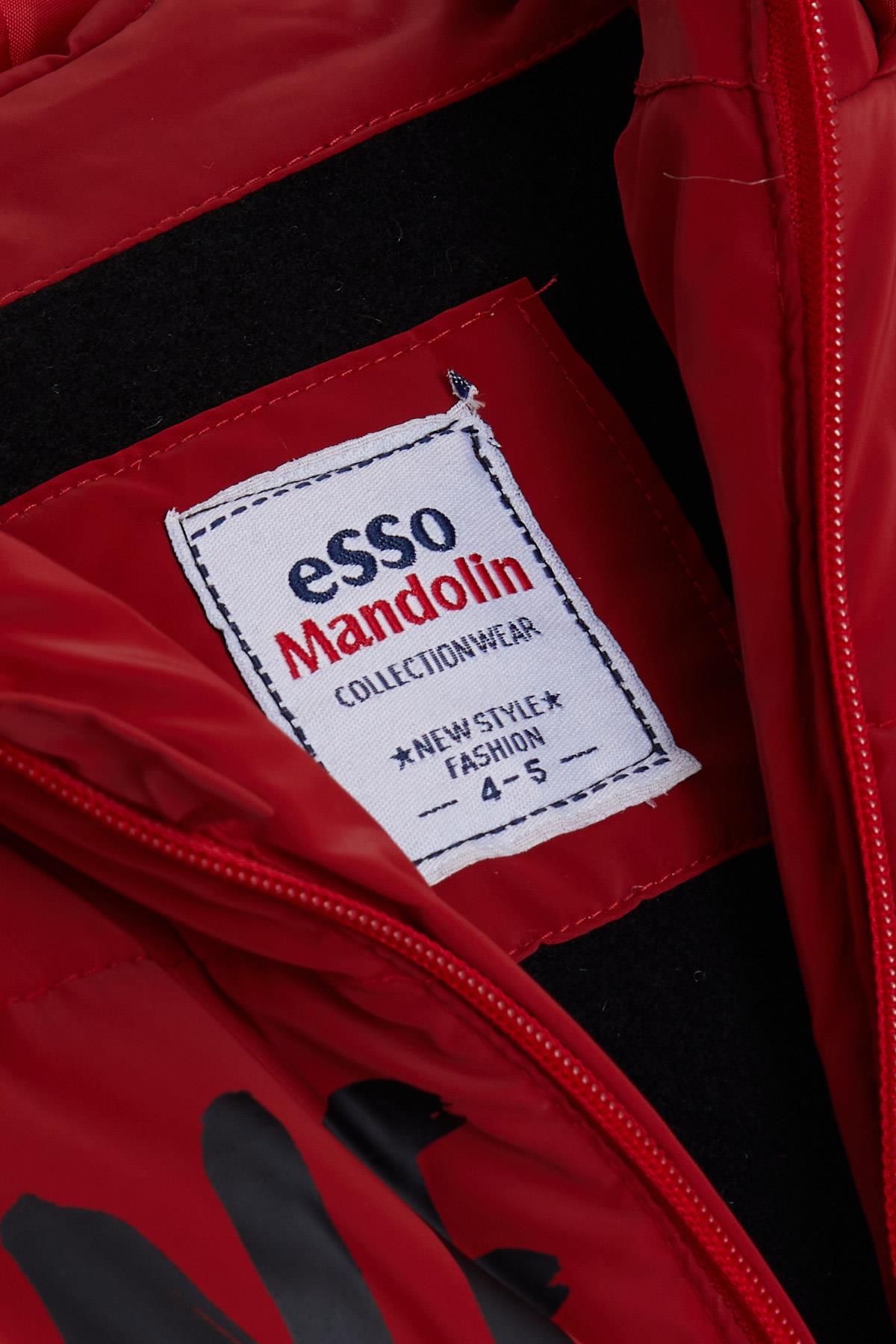 ESSO MANDOLİN Erkek Çocuk Mont Baskılı Kapüşonlu Kırmızı (4-6 Yaş)