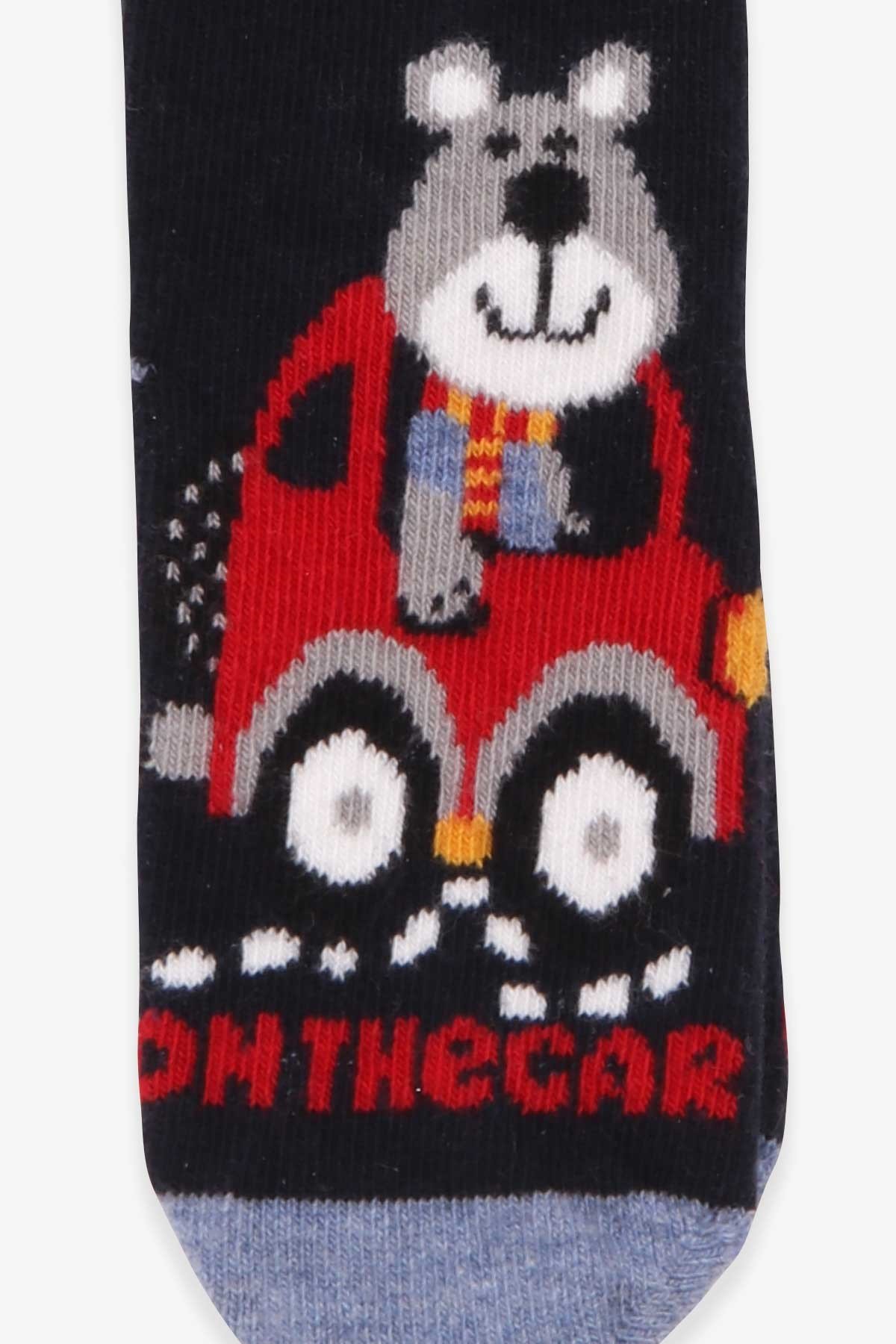 Katamino Erkek Çocuk Soket Çorap Ayıcık Desenli Lacivert (1-2-7-8 Yaş)