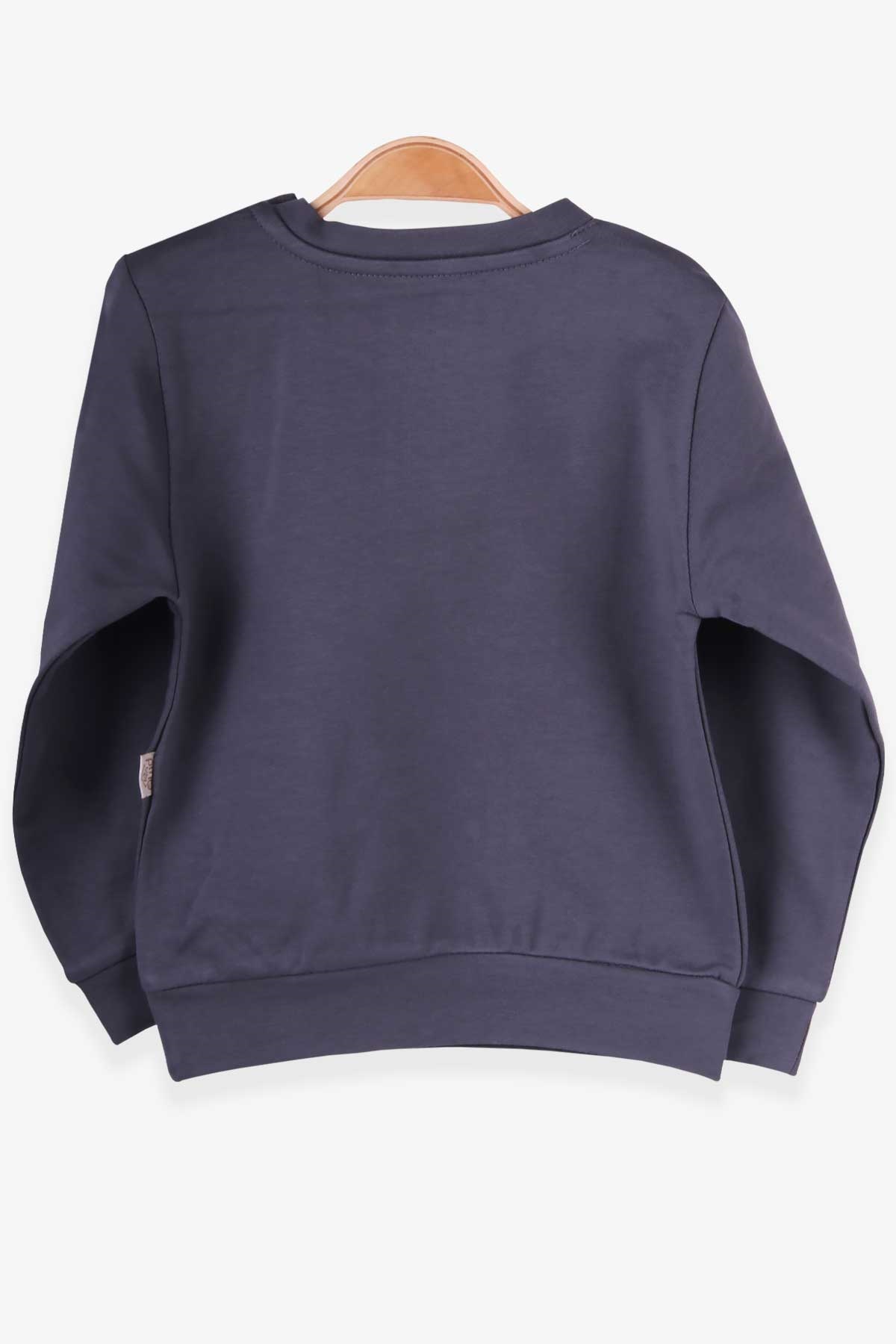 Pino Erkek Bebek Sweatshirt Arma Baskılı Füme (4 Ay-1.5 Yaş)