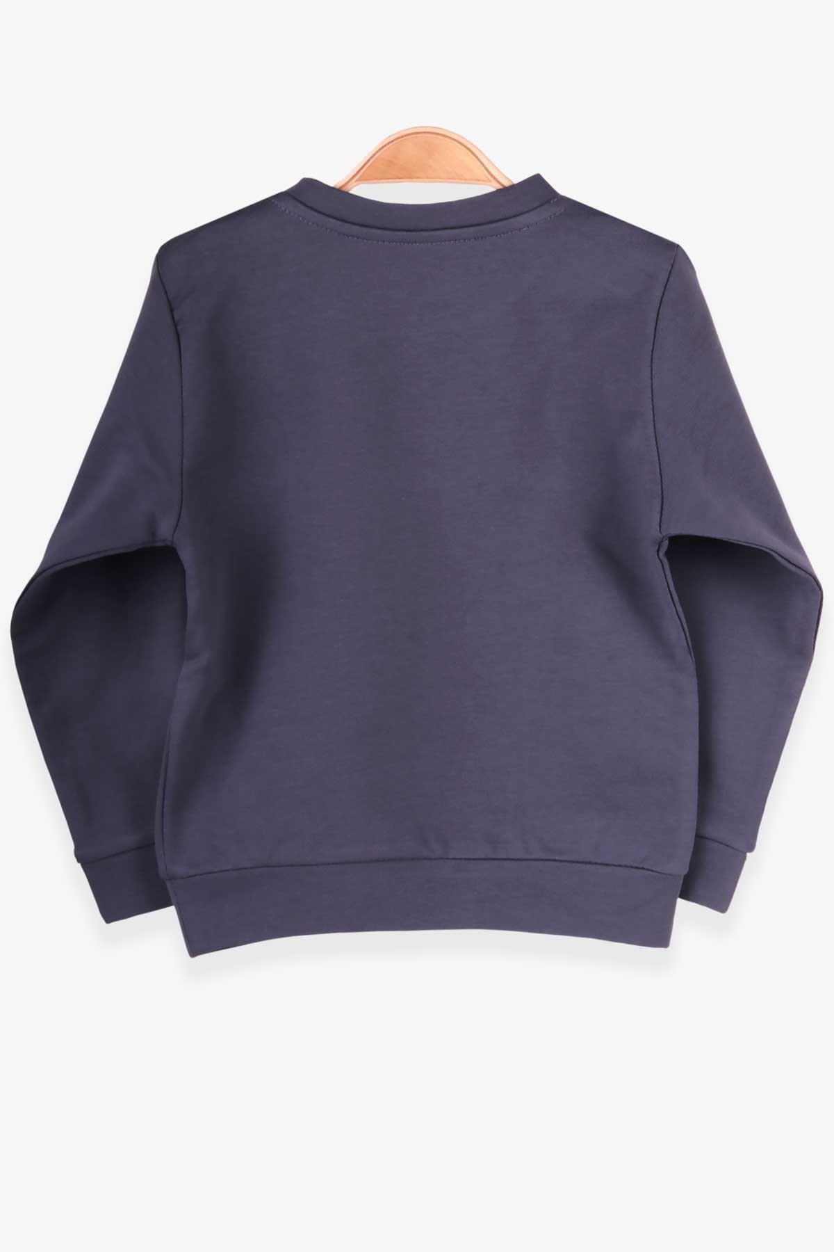 Pino Erkek Bebek Sweatshirt Ayıcık Nakışlı Füme (4 Ay-1.5 Yaş)