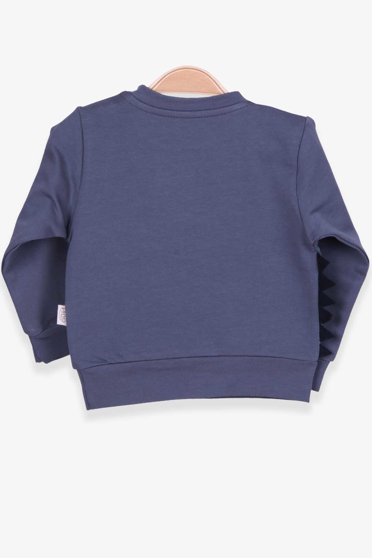 Pino Erkek Bebek Sweatshirt Dinozor Baskılı Füme (4 Ay-1.5 Yaş)