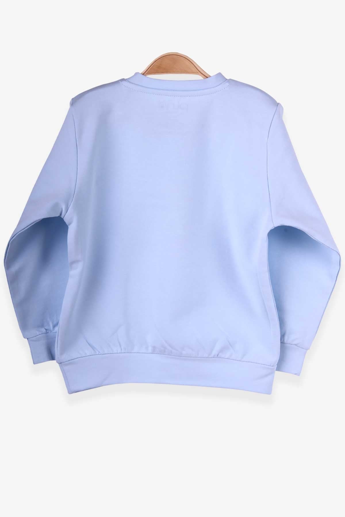 Pino Erkek Çocuk Sweatshirt Arma Baskılı Açık Mavi (2-5 Yaş)