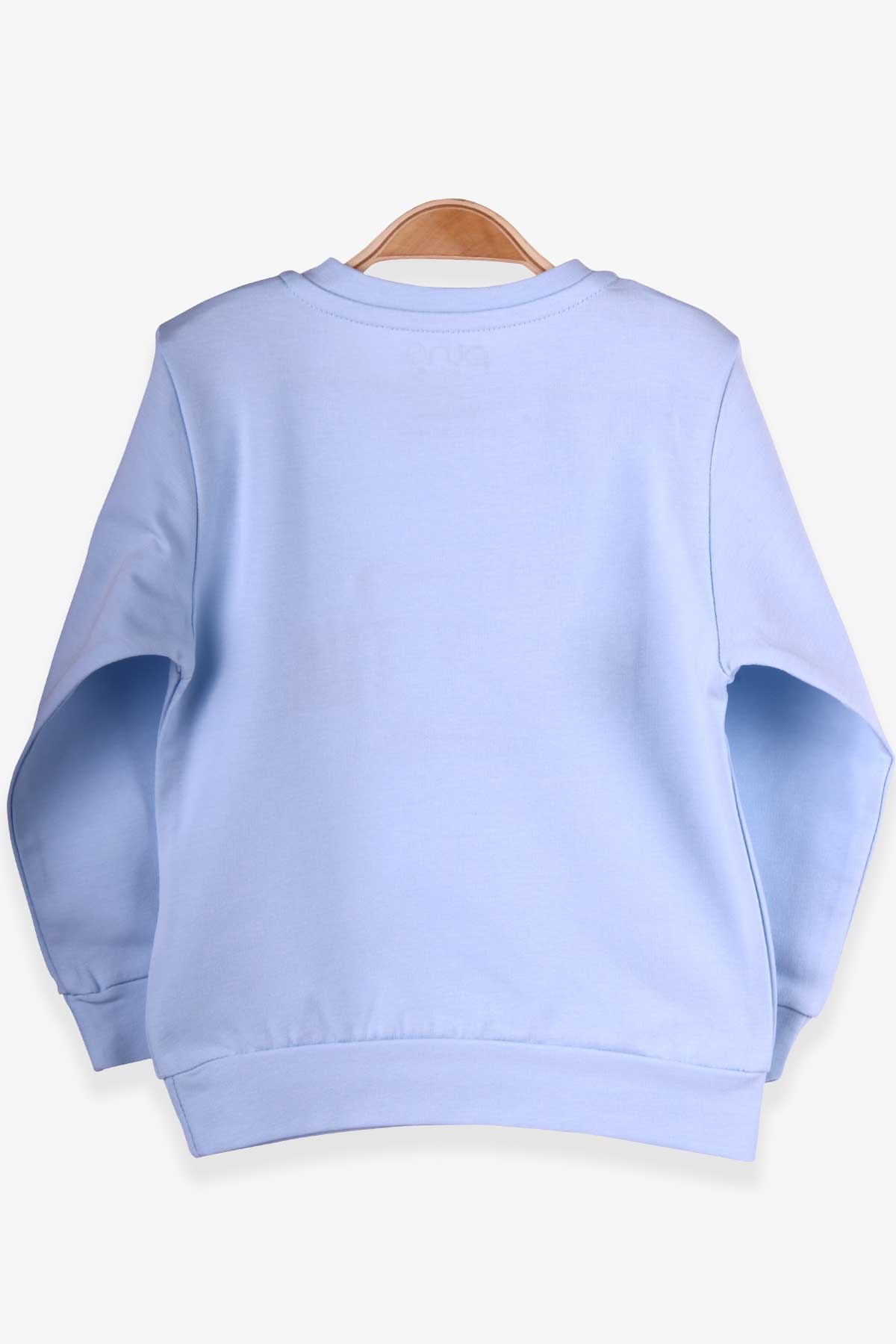 Pino Erkek Çocuk Sweatshirt Ayıcık Nakışlı Açık Mavi (2-5 Yaş)