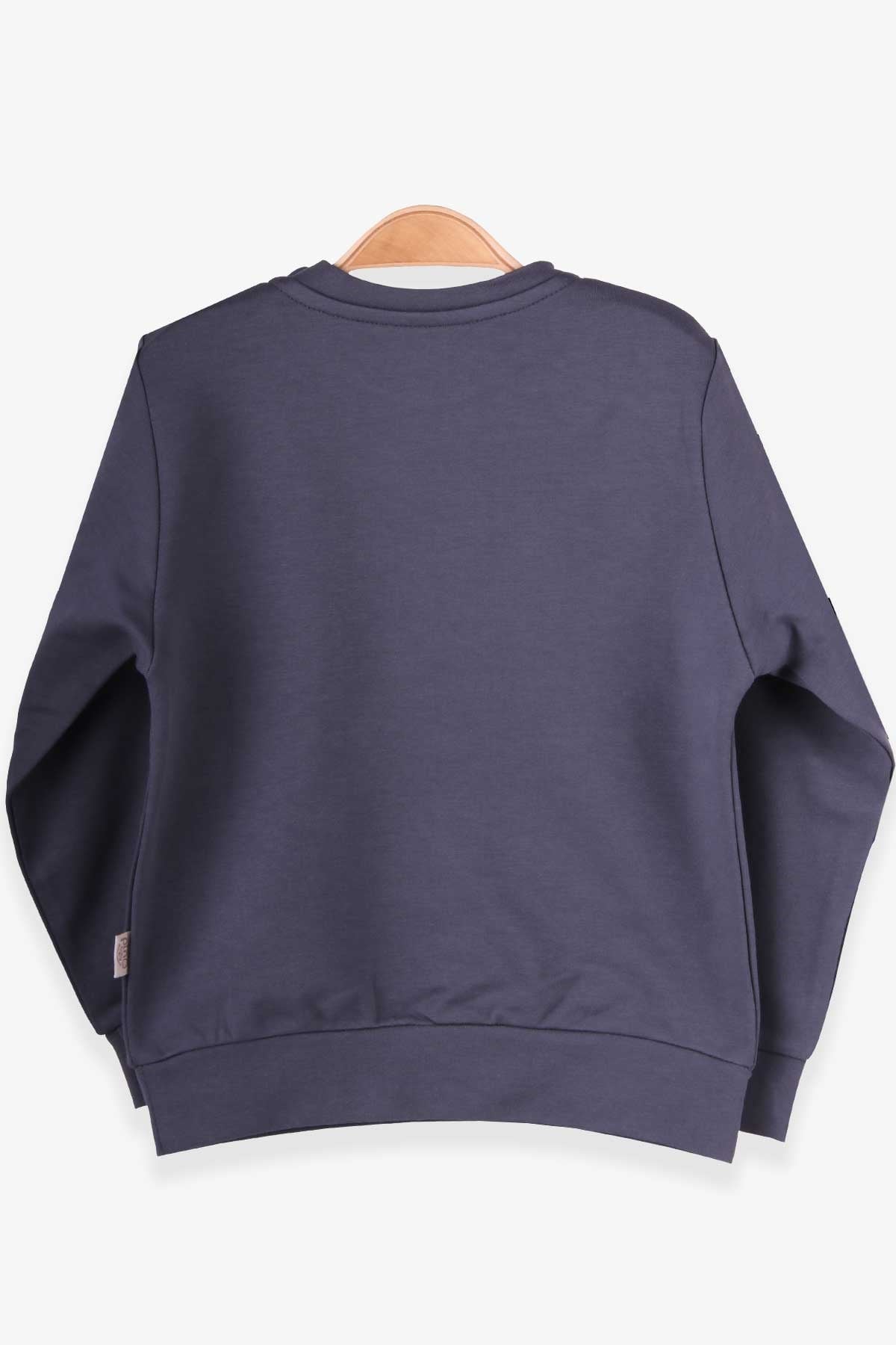 Pino Erkek Çocuk Sweatshirt Yazı Baskılı Füme (2-5 Yaş)