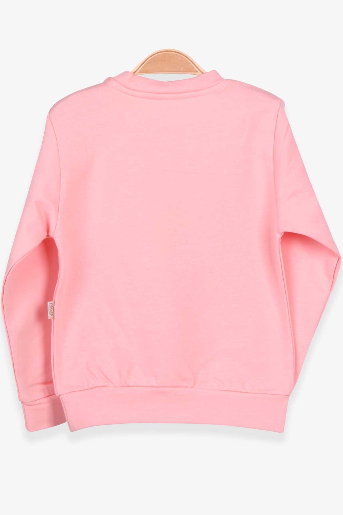 Pino Kız Bebek Sweatshirt Simli Nakışlı Unicorn Somon (4 Ay-1.5 Yaş)
