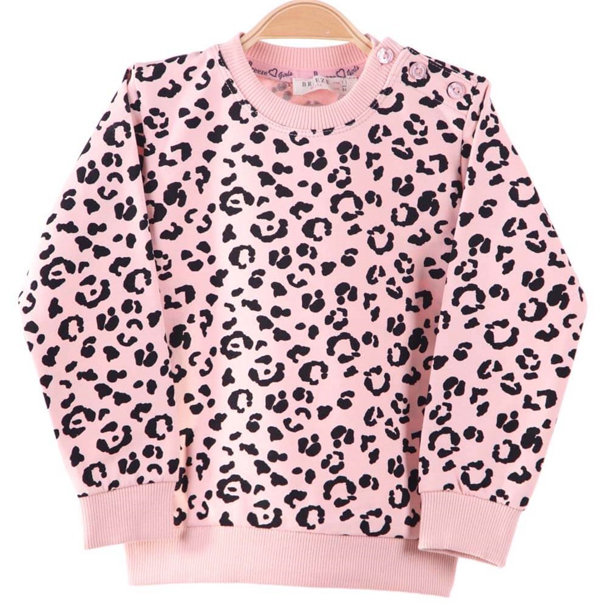Sweatshirt & KazakBREEZEK12177-210Sweat