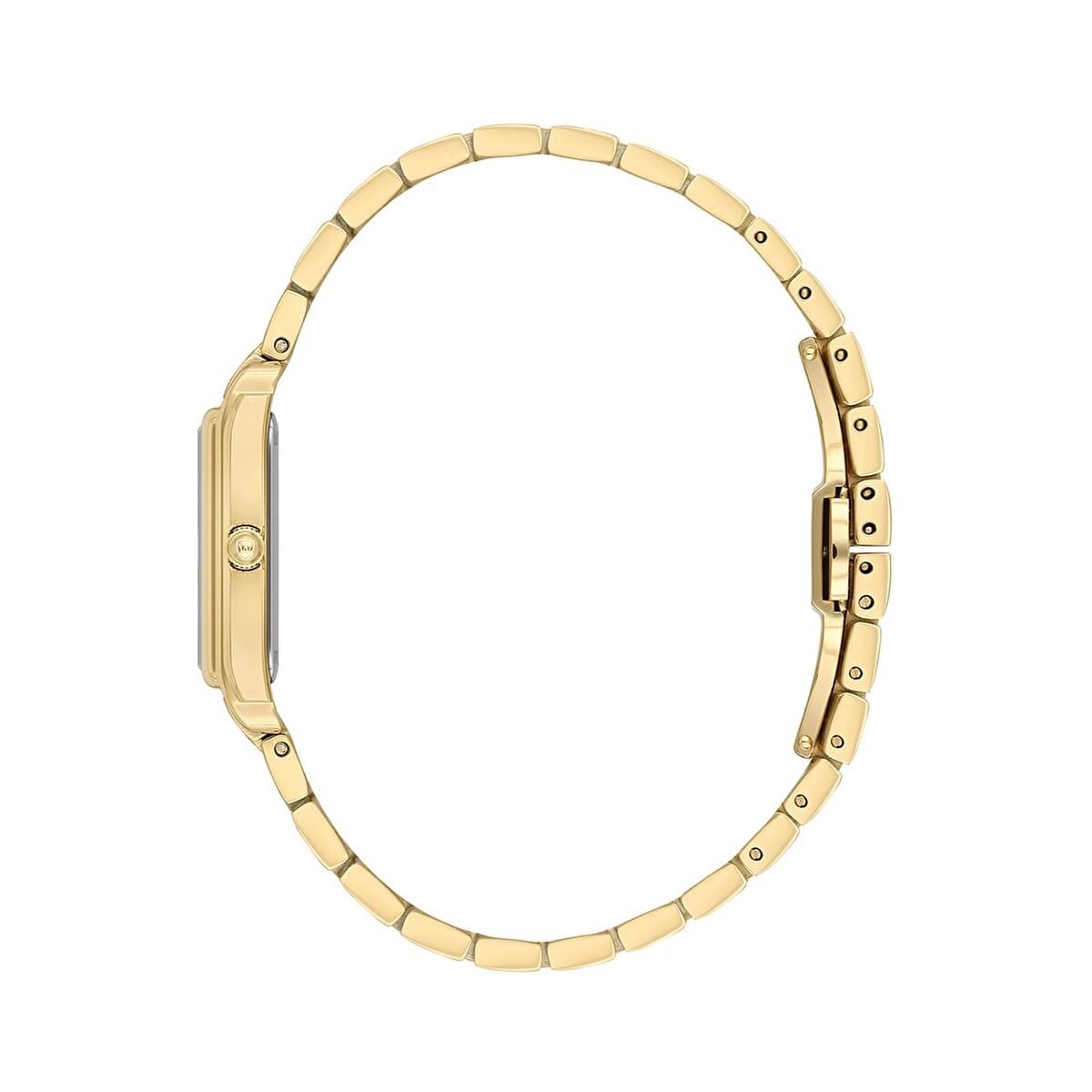 WainerWA.19010-CWainer WA.19010-C Bayan Kol Saati