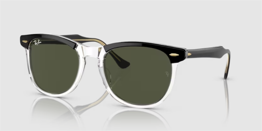 Ray-BanRB/2398/1294/31/53Ray-Ban RB/2398/1294/31/53 Unisex Güneş Gözlüğü