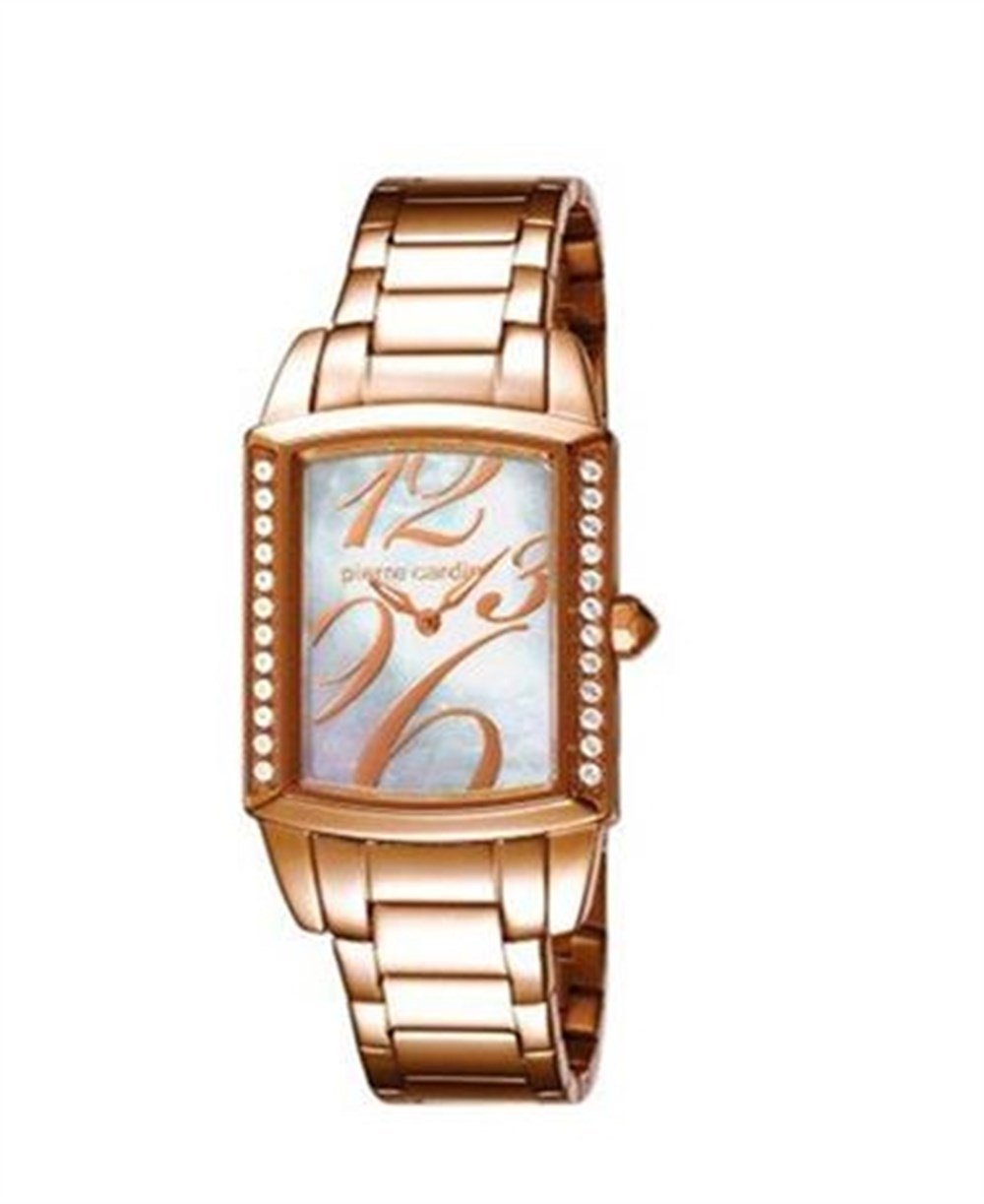 Pierre CardinPC104182F06Pierre Cardin PC104182F06 Bayan Kol Saati