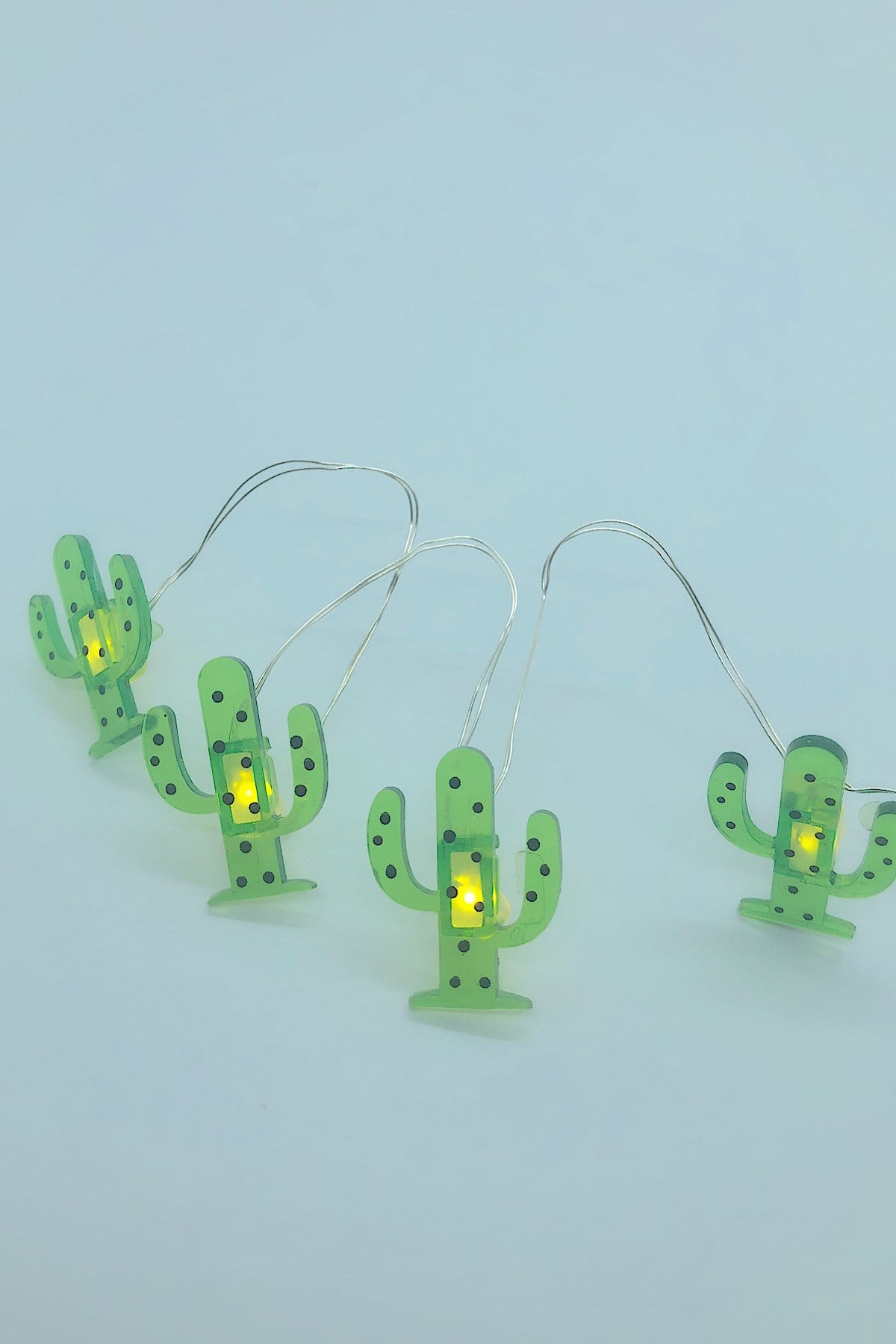 Kaktüs Tel Led