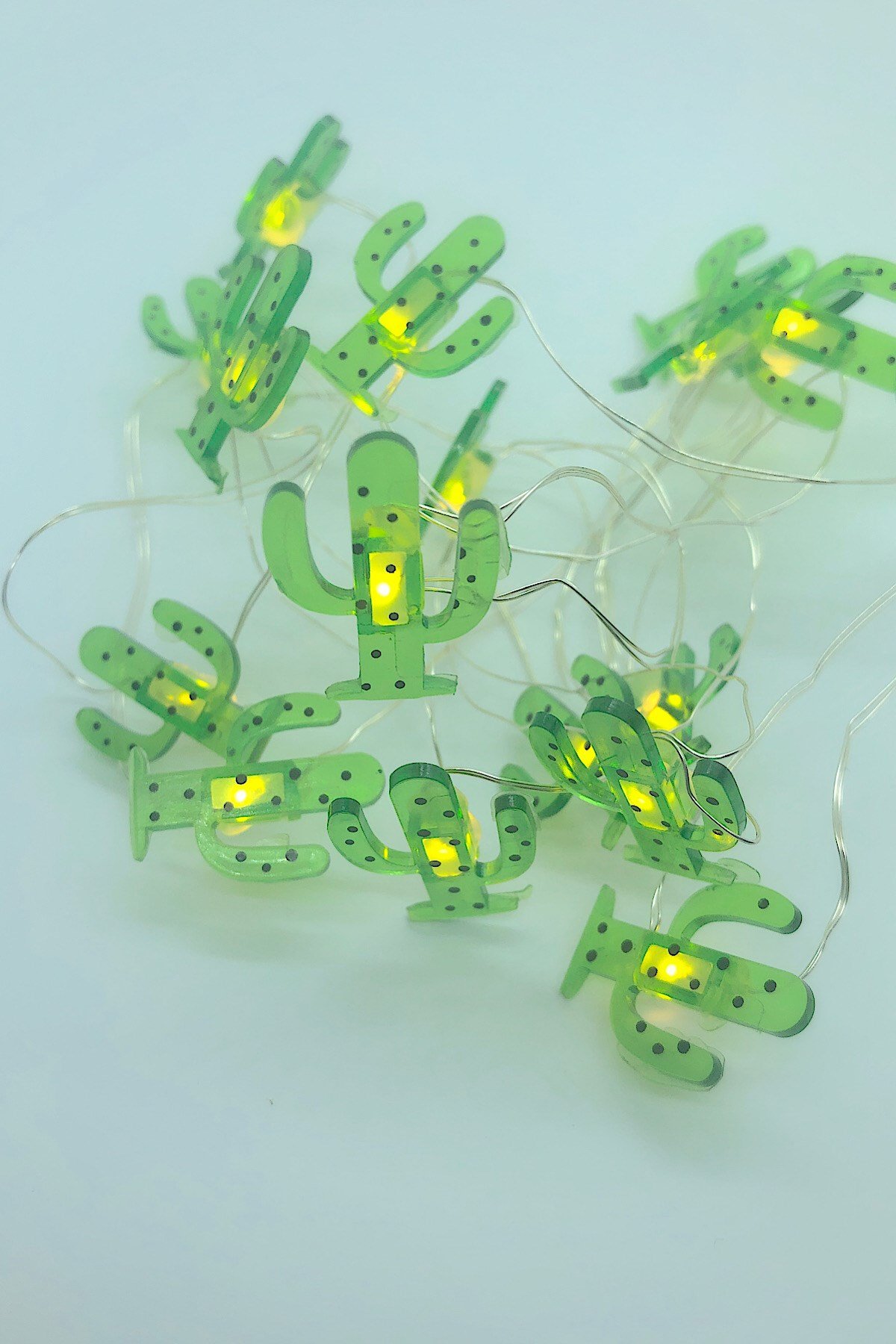 Kaktüs Tel Led