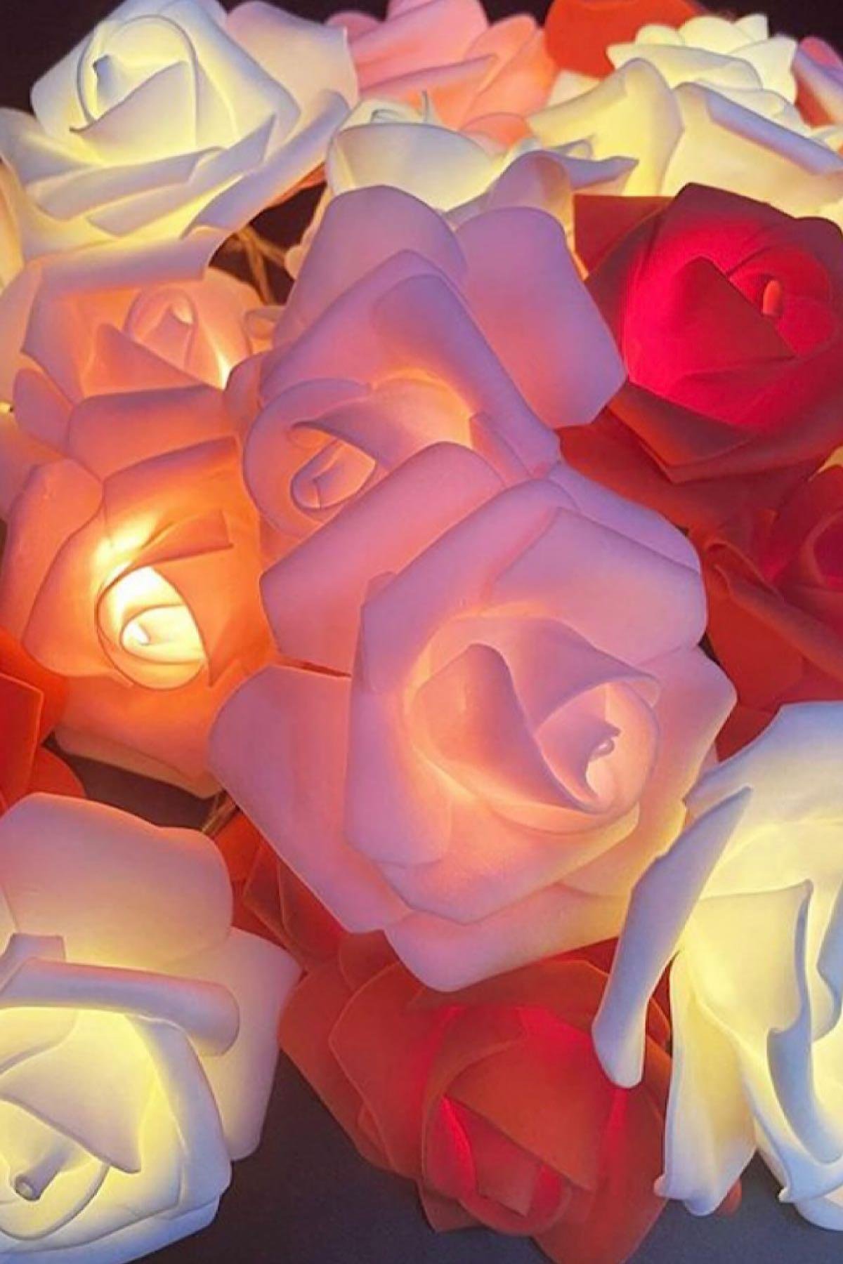 Kırmızı Gül Led