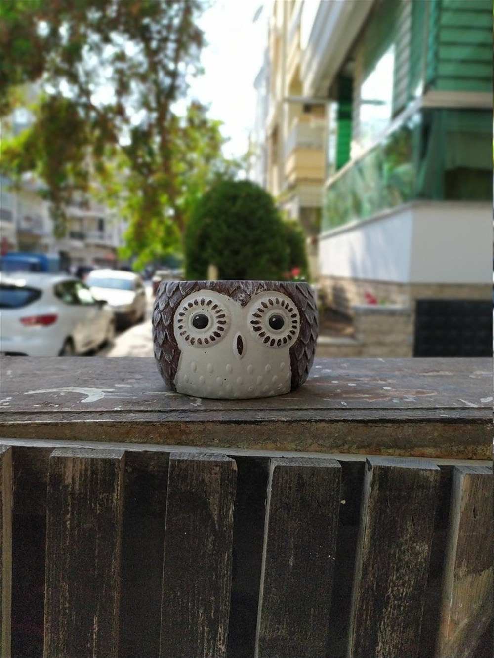 Beton Baykuş Saksı