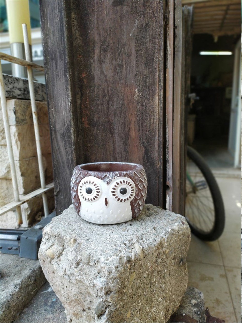 Beton Baykuş Saksı