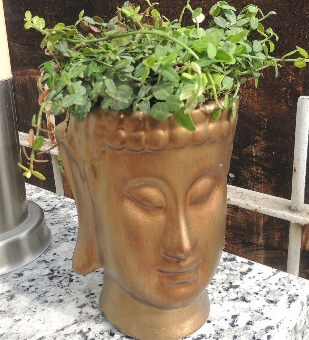 Beton Buddha Altın Rengi Saksı Taflan bitkili