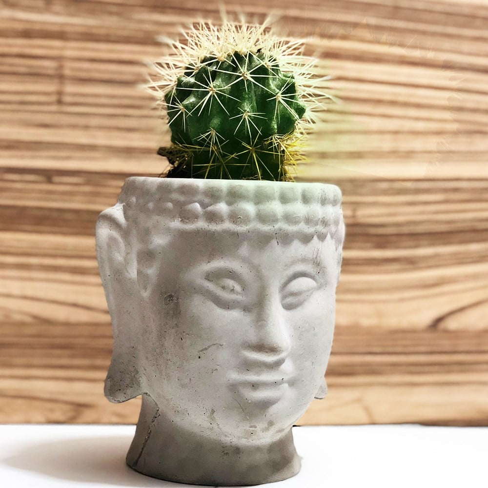 Beton Buddha Saksı Özel Tasarım El Yapımı