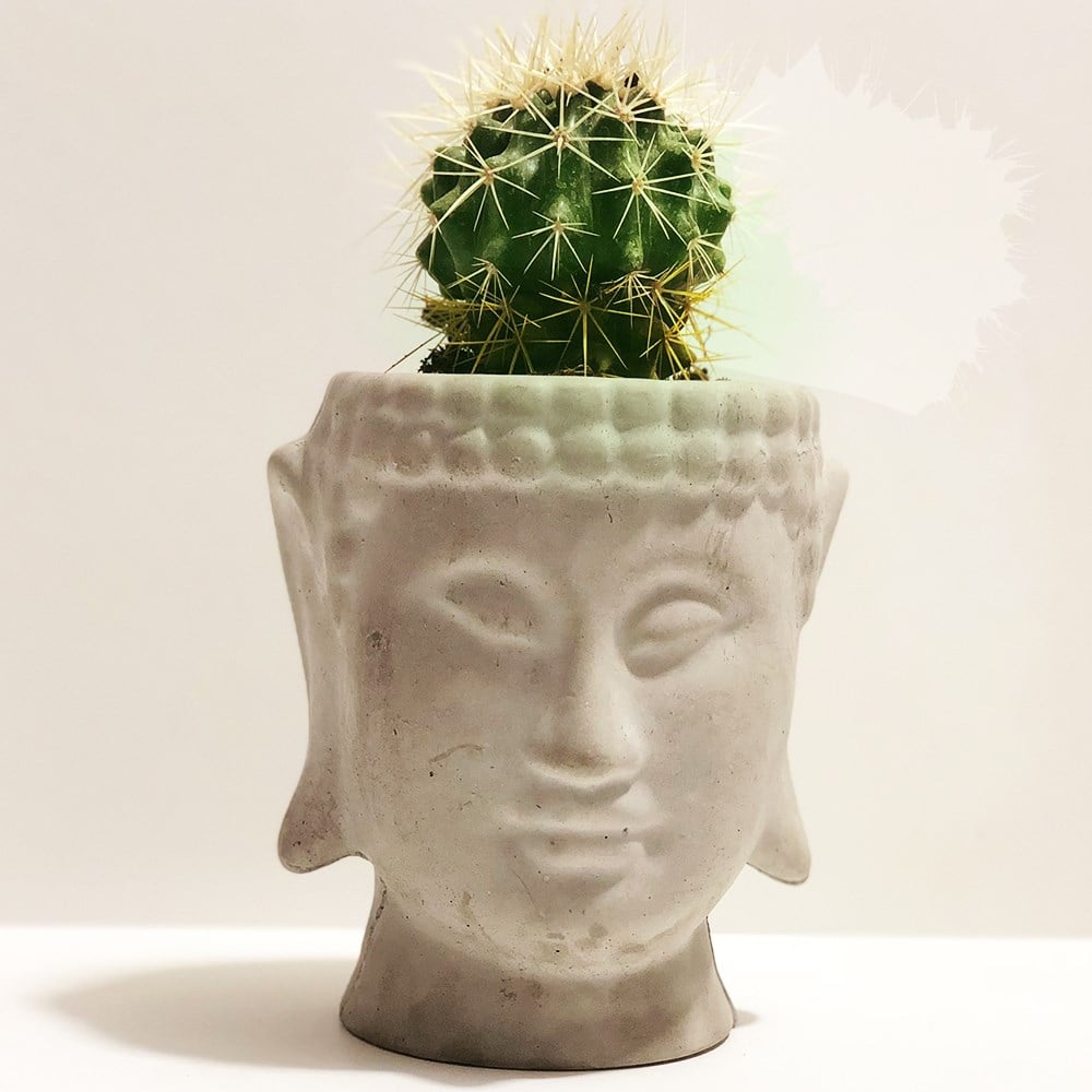 Beton Buddha Saksı Özel Tasarım El Yapımı