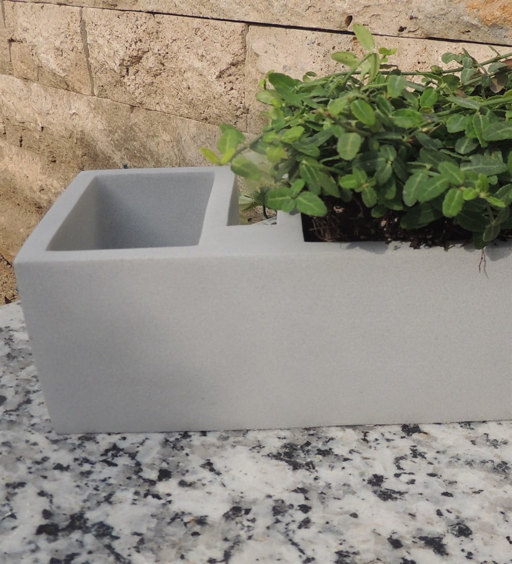 Beton Merdivenli Saksı Tasarım trachelospermum TAFLAN bitkili