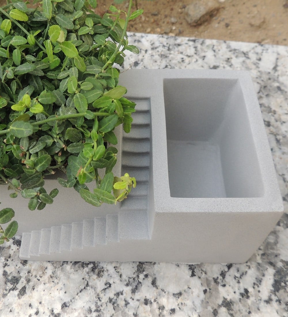 Beton Merdivenli Saksı Tasarım trachelospermum TAFLAN bitkili
