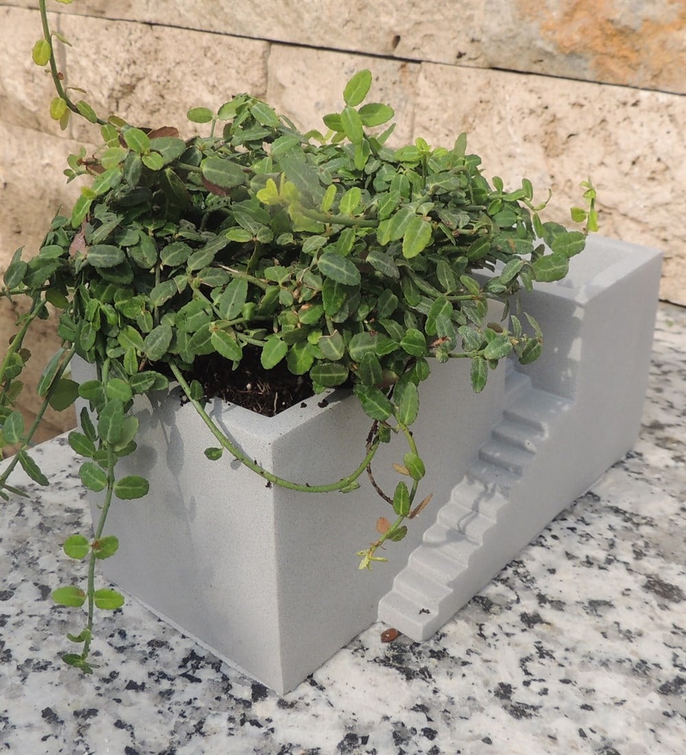 Beton Merdivenli Saksı Tasarım trachelospermum TAFLAN bitkili